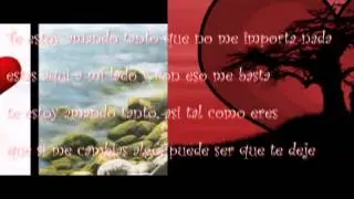 Te estoy amando tanto   Carlos Mata