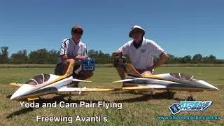 Yoda and Cam Pairs Flying Freewing Avanti's