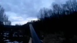 Вечерняя тяга вальдшнепа / hunting woodcock