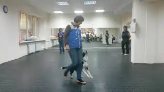 Элис на семинаре НТМ dogdance 14.10.2017