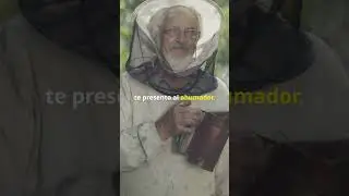 Materiales que no te debe faltar si comienzas en la Apicultura