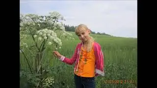 Родные места