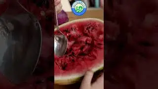 🍉Surprising Watermelon Facts You Need to Know! #farming #watermelon #shorts