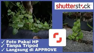 Approved‼️Seperti ini Deskripsi dan Keyword Foto Tema Herbal Plant di Shutterstock