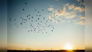 Отрывок из несуществующей симфонии.