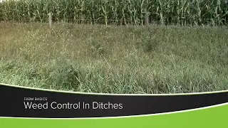 Weed Control In Ditches
