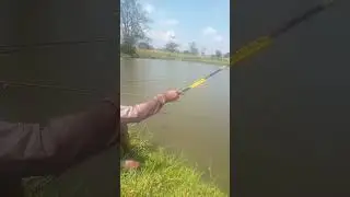 MANCING MANIA MANTAB