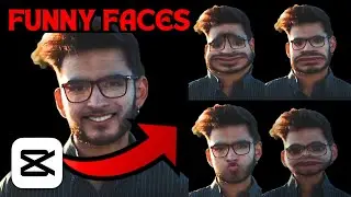 How To Make Funny Faces on Videos or Pictures in Capcut Mobile