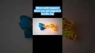 What really happens when you get tagged in Gorilla Tag