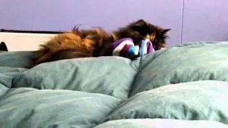 Matilda