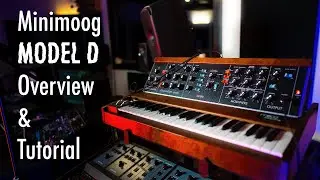 Minimoog Model D Overview and Tutorial (How to Substractive Synthesis)