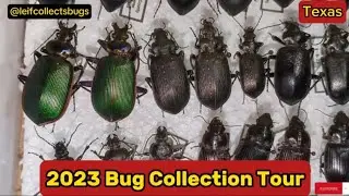 Bug Collection Tour! 2023