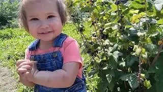 Сад, огород, хозяйство.