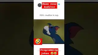 Auditors in July month 🤣🤣🤣
