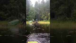 Angeln an wildem See 🇸🇪 [Angeltour für 2024?] #shorts #angeln #fishing
