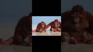 Орангутаны на пляже #мем #мемчик #meme