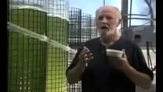 Морской Фитопланктон. Что Это?