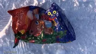 Эко-репортаж "Мусор и земля"