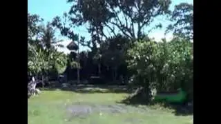Bali Cycling Tabanan - Yeh Gangga - Kelating