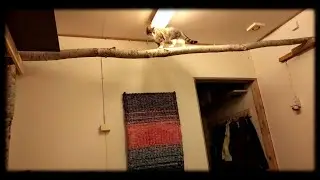 Perjantain tärkeimmät