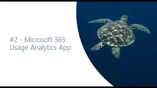 6 Ways to Get Insights on Your Microsoft 365 Usage