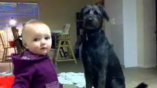 Big-ass dog (beau) and Mallory. Cute.