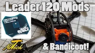 Leader 120 Mods, Batteries, Menace RC Bandicoot & FLIGHT!
