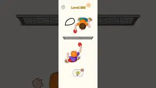 Dop 4 level  356