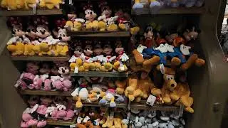 Critter Country is Closing at Disneyland - Last Walk