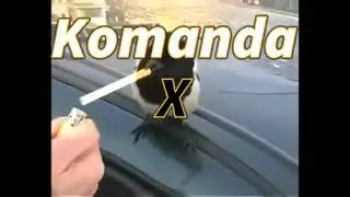 Komanda X #2