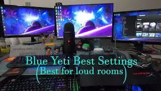 Blue Yeti Microphone Settings for Loud Rooms
