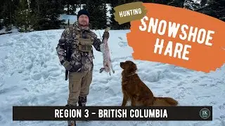 Snowshoe Hare Hunting in Spring 2022 | British Columbia
