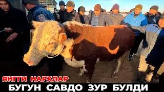 ХОРАЗМ МОЛ  БОЗОР  НАРХЛАРИ  15-НОЯБРЬ   БОГОТ
