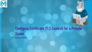 CloudHub 2.0 Part VII - Configure Custom Domain and Certificate (TLS Context) for a Private Space