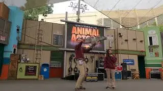 Universal’s Animal Actors (Last Day)