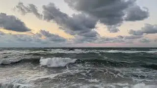 Море (Элчин Сафарли)