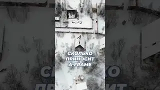 Сколько ПРИБЫЛИ приносит A-FRAME