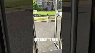 He takes the bus more seriously than I take my job. 🐶🚌