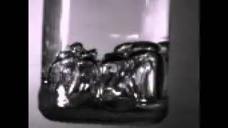 Cavitation - Short