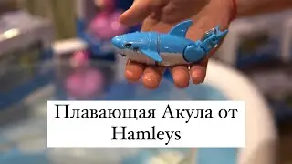 Плавающая Акула от Hamleys