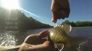 Kayak Fishing during Low Tide