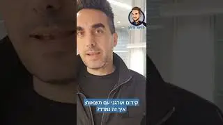 קידום אורגני עם תוצאות: איך זה נמדד?