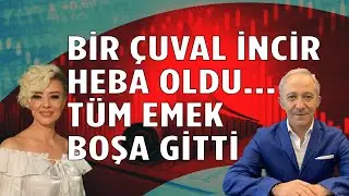 Merkez Bankası Kararı Bir Çuval İnrici Berbat Etti Ekonomi Yorum Faiz Kararı