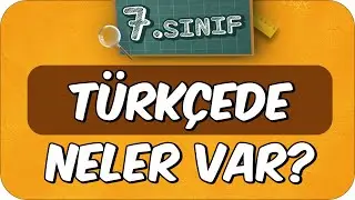 7. Sınıf Türkçede Neler Var? Türkçe Dersine Nasıl Çalışır❓