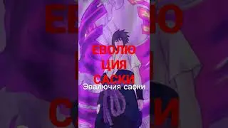 ЕВОЛЮЦИЯ САСКИ