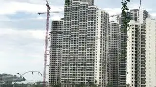 FOREST CITY PROJECT