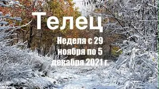 Телец. Таро-прогноз на неделю с 29 ноября по 5 декабря 2021г.