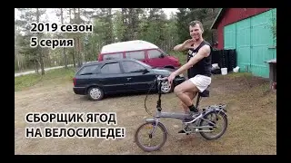 Сбор ягод в Швеции с Артемом Митюшкиным. 2019 сезон 5 серия \ Сборщик ягод на велосипеде!
