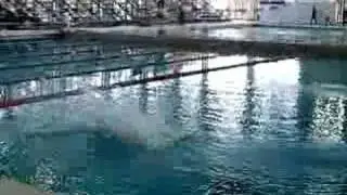 Aaron UCSD diving 5233D