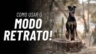 Como usar o Modo Retrato? - A Função Correta do iPhone para Fotos Incríveis